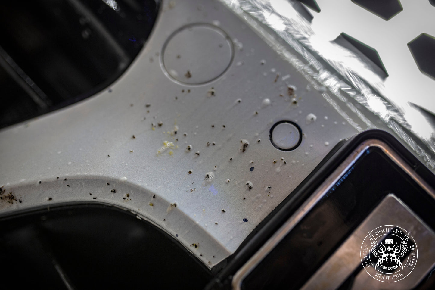 BadBoys Insecten Verwijderaar / Bug Remover